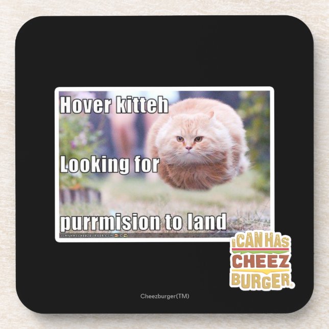 Schwebeflug kitteh untersetzer (Vorderseite)