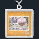 Schwebeflug kitteh versilberte kette<br><div class="desc">Suchen nach purrmision zum Land.</div>