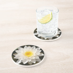 Schwebende Weiße Wasserlilie Lotus Getränkeuntersetzer