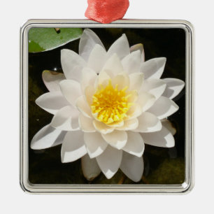 Schwebende Weiße Wasserlilie Lotus Ornament Aus Metall