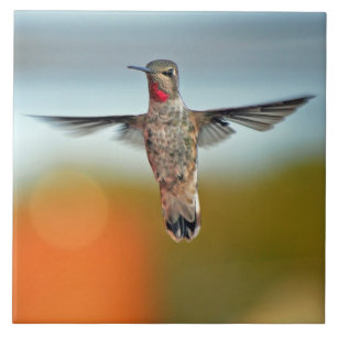 Schwebender Kolibri Fliese