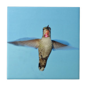 Schwebender Kolibri Fliese