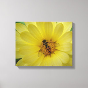 Schwebfliege auf einem Ringelblumen-Leinwanddruck Leinwanddruck