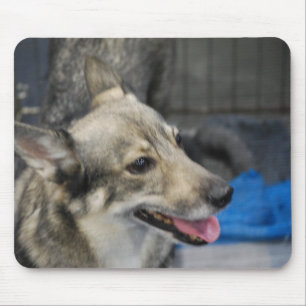 Schwede Vallhund Mausunterlage Mousepad