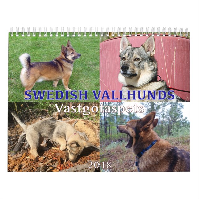 Schwede Vallhund, Vastgotaspets, Callendar 2018 Kalender (Titelbild)