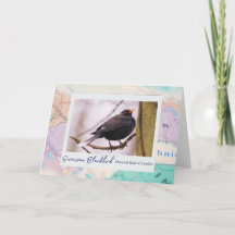 Schweden Eurasian Blackbird National Emblem auf Ka