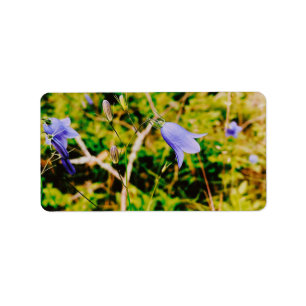 Schwedisch Bluebell Adressaufkleber