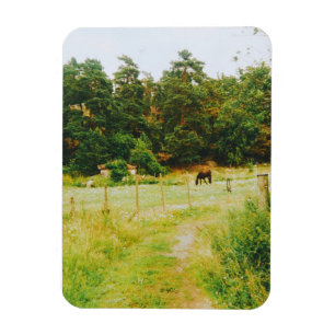 Schwedische Landschaft Magnet