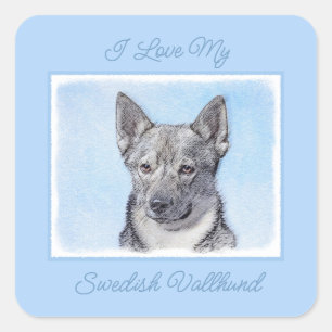 Schwedische Vallhund-Malerei - Niedliche Original  Quadratischer Aufkleber