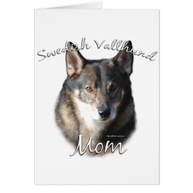 Schwedische Vallhund Mama 2 (Vorne)