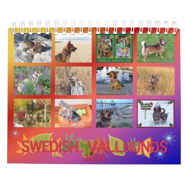 Schwedischer Kalender Vallhund 2020 (Rückseite)