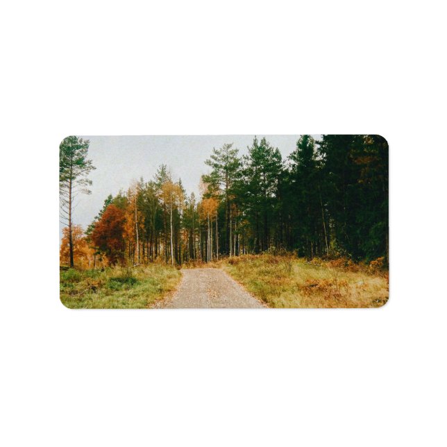 Schwedischer Urwald Adressaufkleber (Vorne)