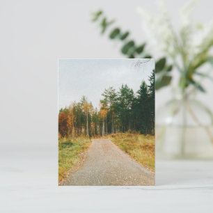 Schwedischer Urwald Postkarte