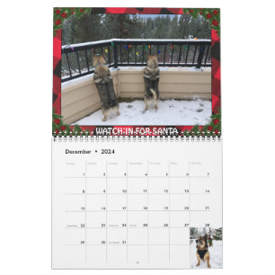 Schwedischer Vallhund-Kalender Kalender