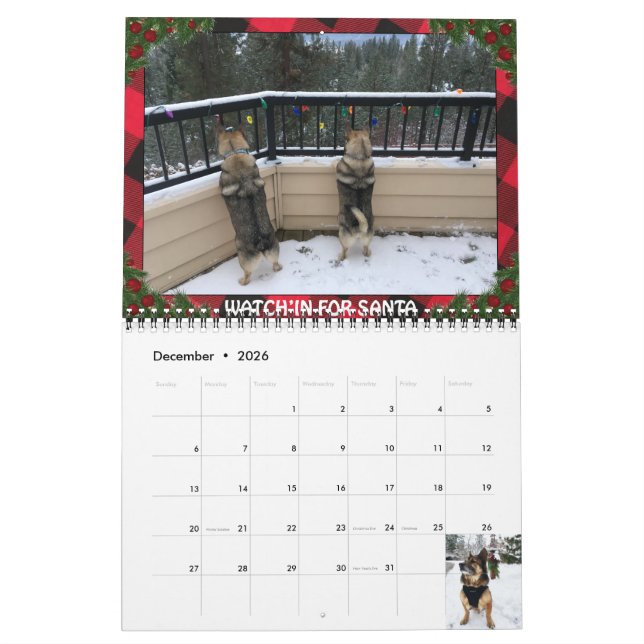 Schwedischer Vallhund-Kalender Kalender (Dez 2026)