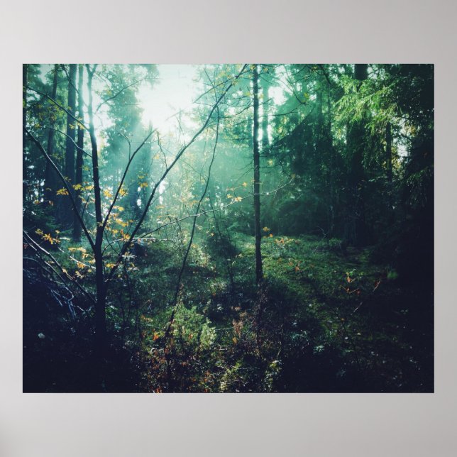 Schwedischer Wald Poster (Vorne)