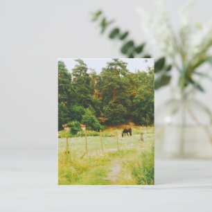 Schwedisches Gebiet Postkarte