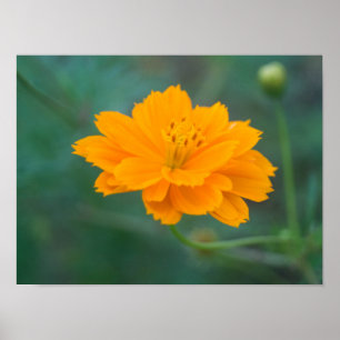 Schwefel Cosmos 01 Poster