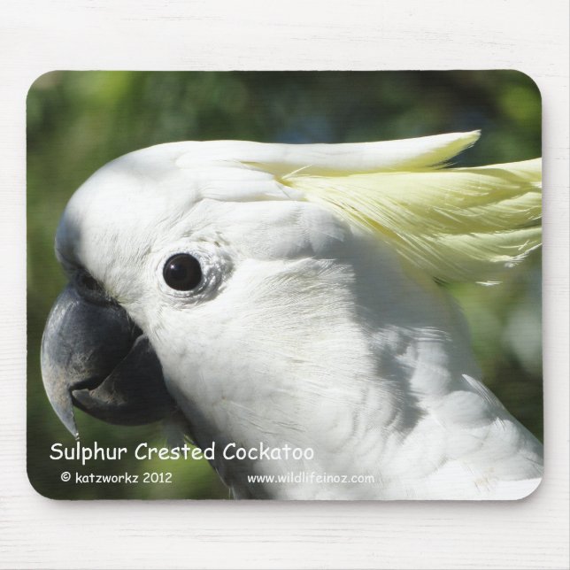 SchwefelCockatoo mit Haube Mousepad (Vorne)
