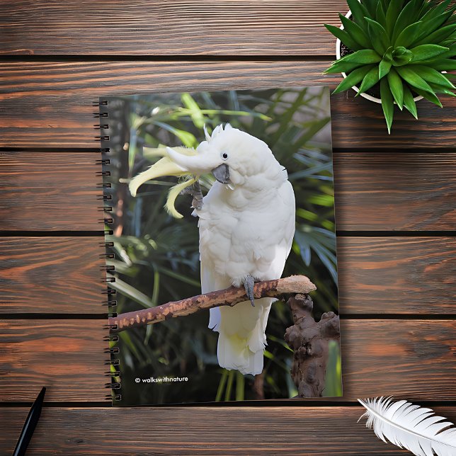 Schwefelgezauberte Kakatoowellen beim Fotografen Notizblock (Friendly Sulfur-Crested Cockatoo Waves at the Photographer Journal Cover Photo)