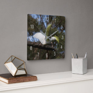 Schwefelkamm-Kakadu Australien Vogel Foto Quadratische Wanduhr