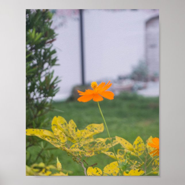 Schwefelkosmos 03 poster (Vorne)