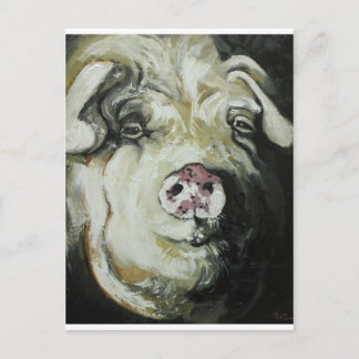 Schwein #7 postkarte