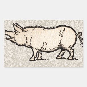 Schwein Antikes Schweine Niedliche Vintage Illustr Rechteckiger Aufkleber