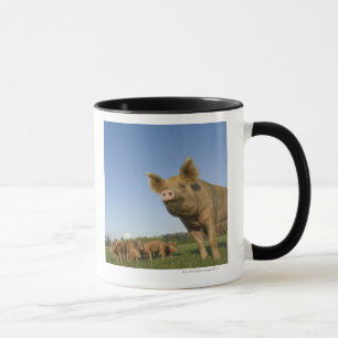 Schwein auf einem Gebiet Tasse