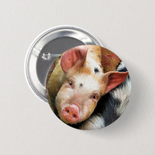 SCHWEIN BUTTON