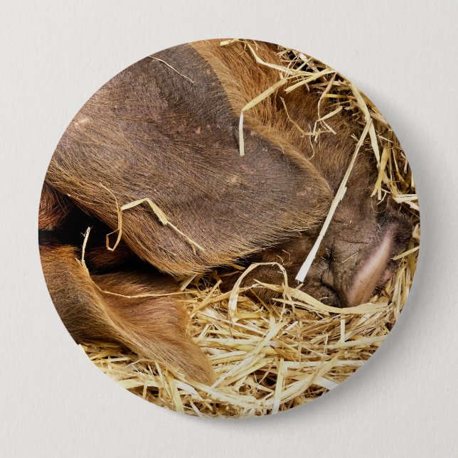 SCHWEIN BUTTON (Vorderseite)