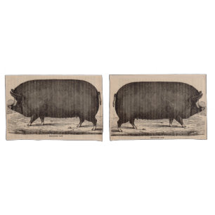 Schwein Druck Berkshire Sauen Nr. 2 aus dem 19. Ja Kissenbezug