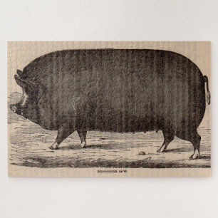 Schwein Druck Berkshire Sauen Nr. 2 aus dem 19. Ja Puzzle