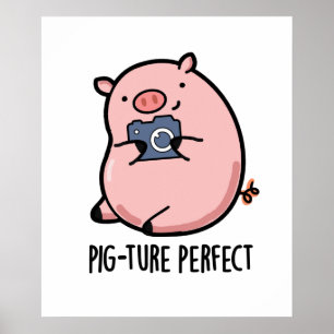 Schwein-ebild Perfekte lustige Fotografie Schwein  Poster