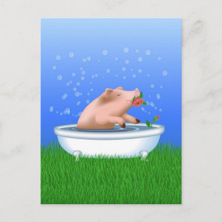 Schwein im Bad Postkarte