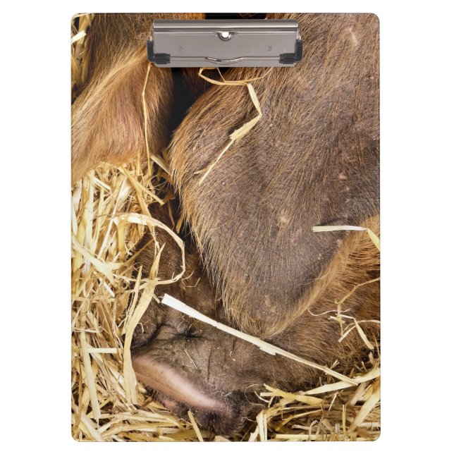 SCHWEIN KLEMMBRETT (Vorderseite)