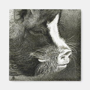 Schwein-Magnet - "Homer " Magnet