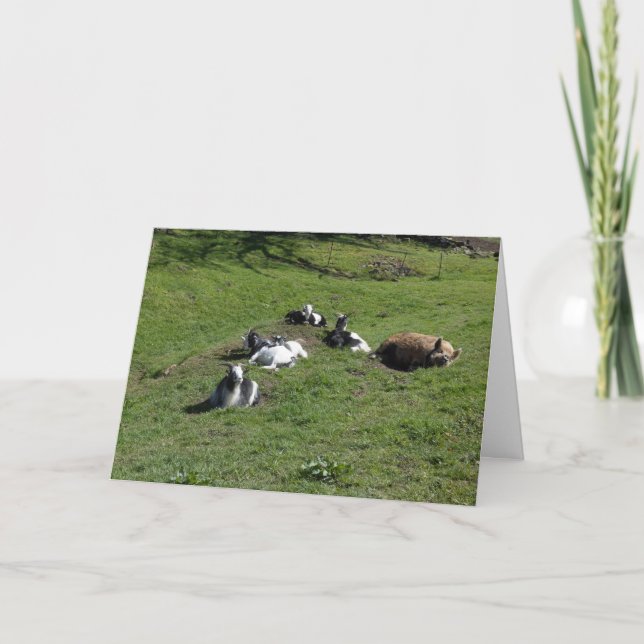 Schwein mit Ziegenfreunden Karte (Vorderseite)