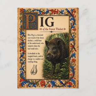 Schwein, mittelalterliche Bestiarien-Kunst Postkarte
