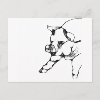 Schwein Postkarte
