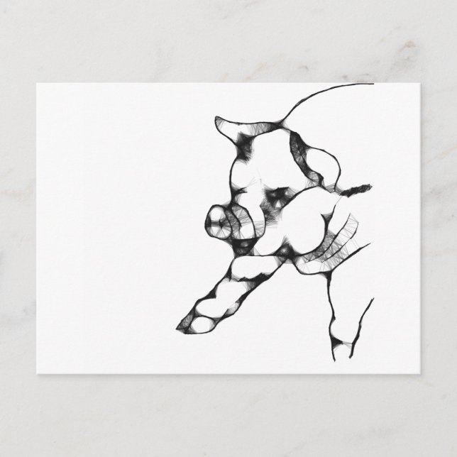 Schwein Postkarte (Vorderseite)
