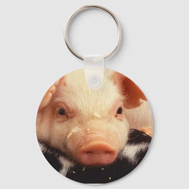 Schwein Schlüsselanhänger (Vorderseite)