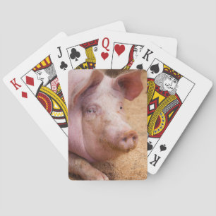 Schwein-Spielkarten Spielkarten