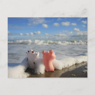 Schwein und Kuh am Strand Postkarte