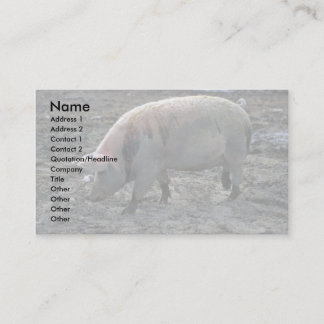 Schwein Visitenkarte