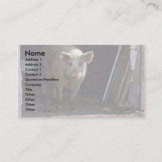 Schwein Visitenkarte
