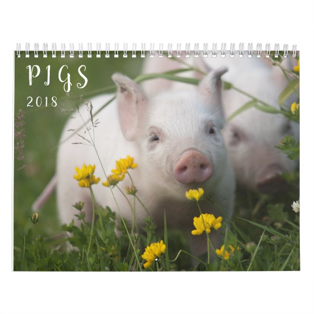 Schwein-Wandkalender - Lächeln im Jahre 2018 Kalender (Titelbild)