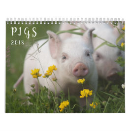 Schwein-Wandkalender - Lächeln im Jahre 2018 Kalender