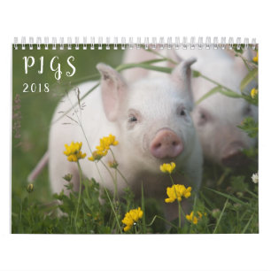 Schwein-Wandkalender - Lächeln im Jahre 2018 Kalender