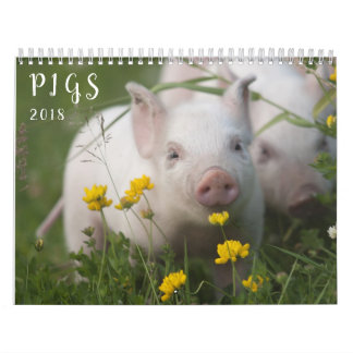 Schwein-Wandkalender - Lächeln im Jahre 2018 Kalender